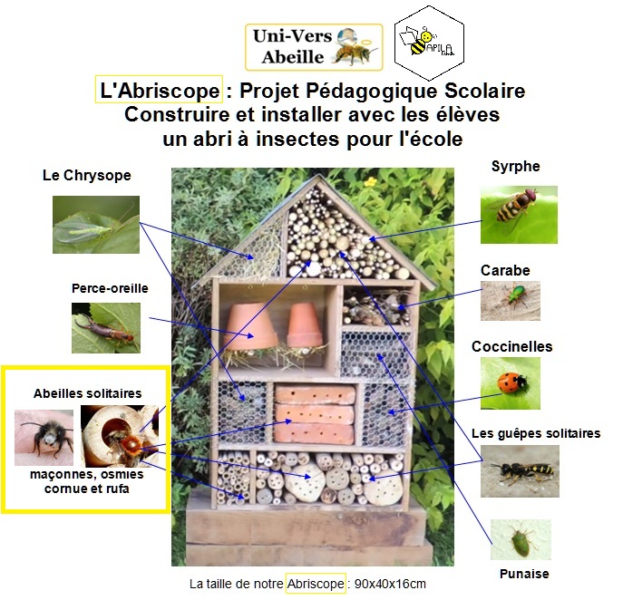 Abriscope un abri abeilles