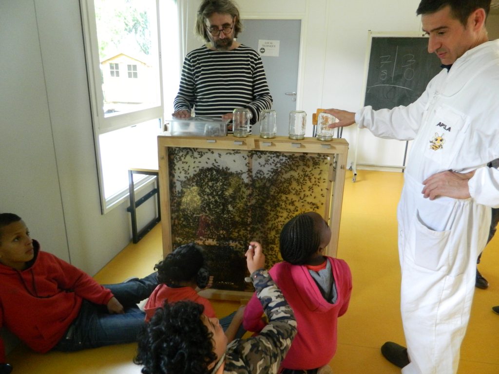 Installation du premier Apiscope à l'école At'Home de Bischheim