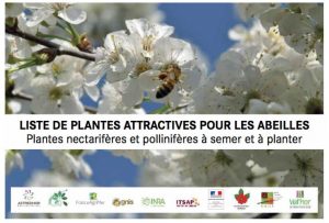 Liste plante mellifères abeilles 2017 ministère agriculture