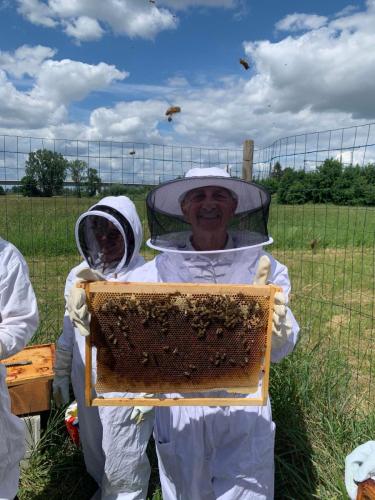 Visite du rucher pédagogique à Vendenheim